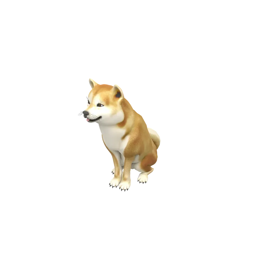 A Shiba Inu dog, 40 cm at the shoulder